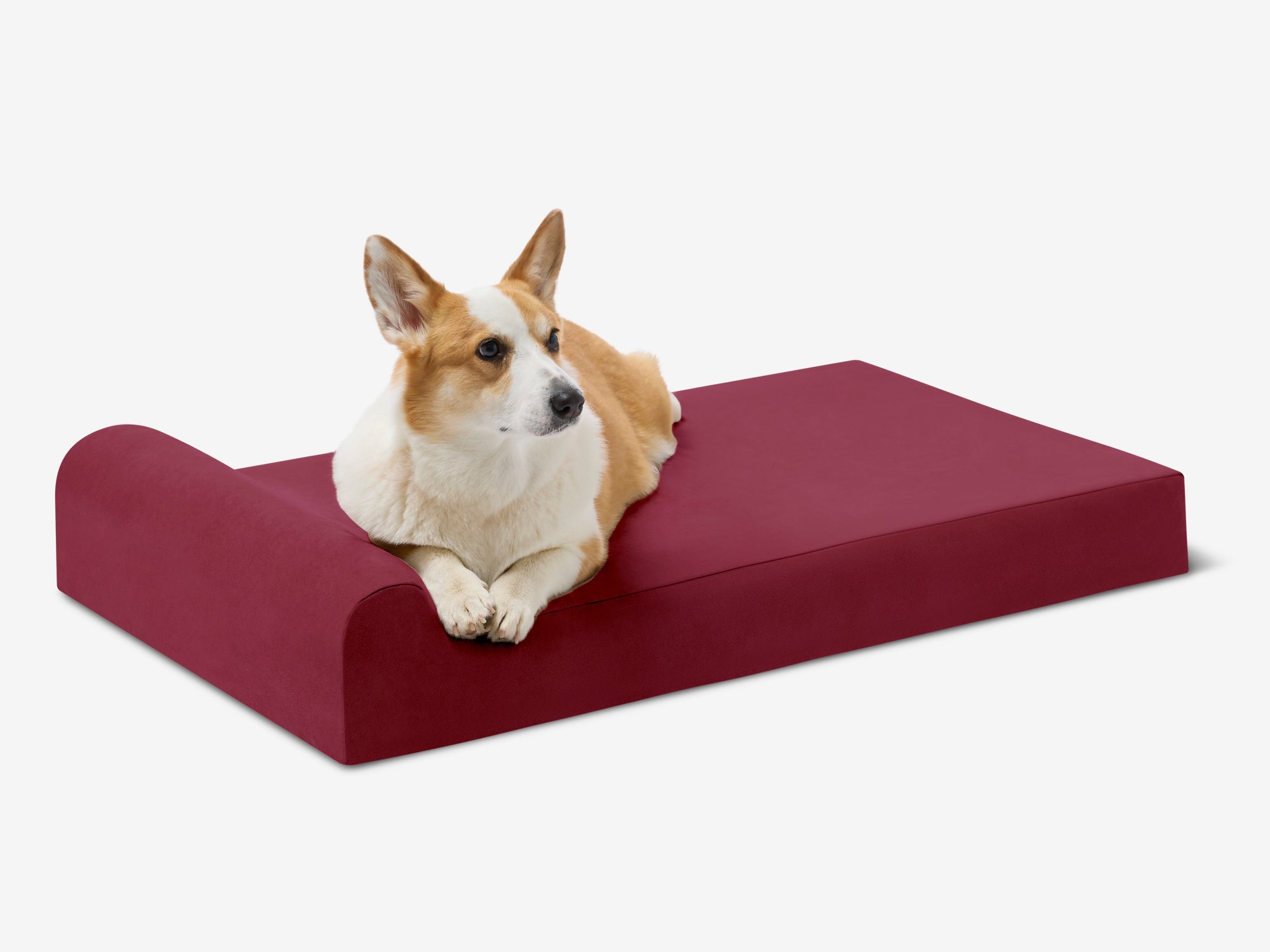 Junior Orthopedic Dog Bed