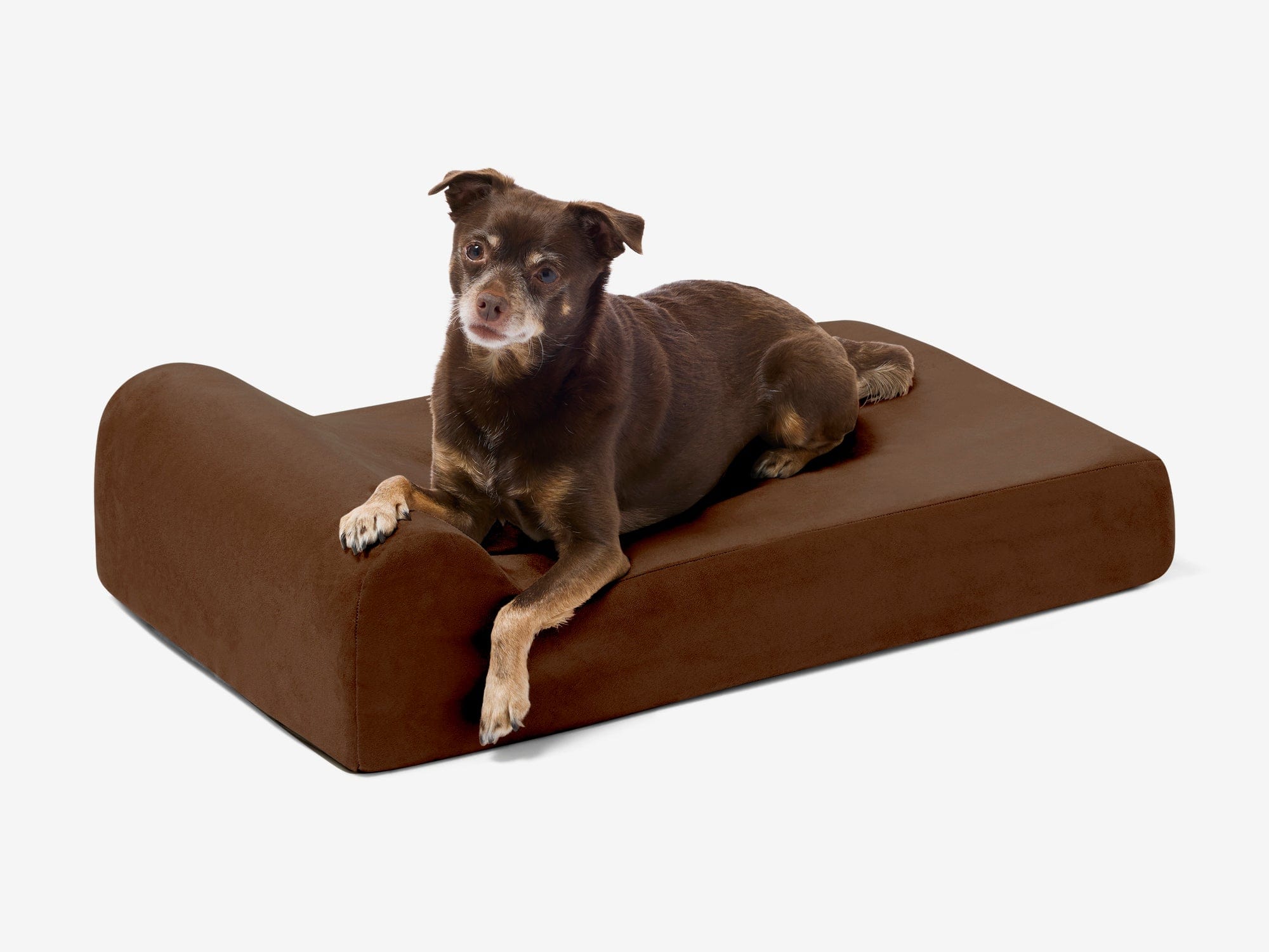 Junior Orthopedic Dog Bed