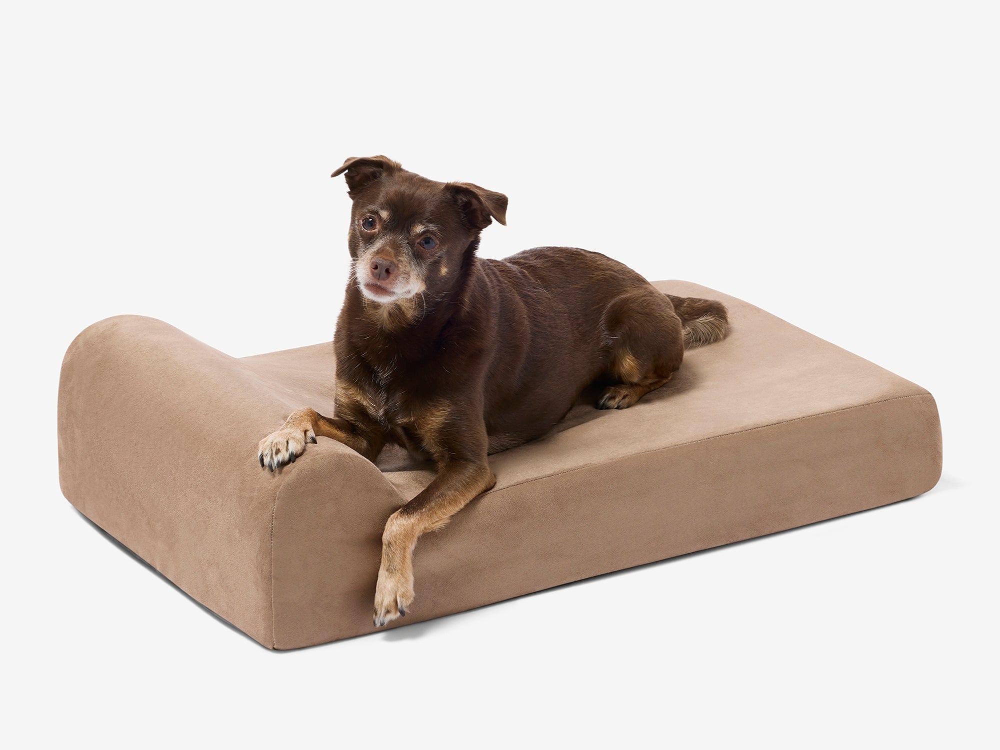 Junior Orthopedic Dog Bed