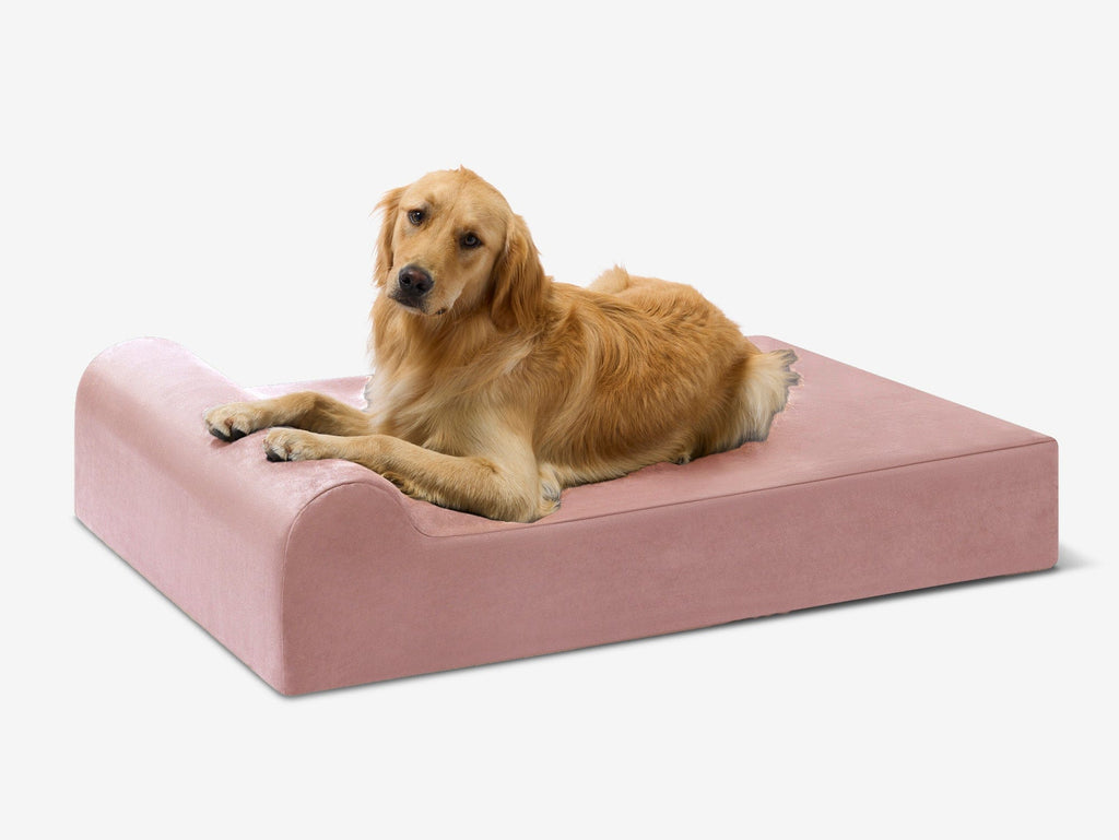 Cover | Original Bed — Limited Edition Colors