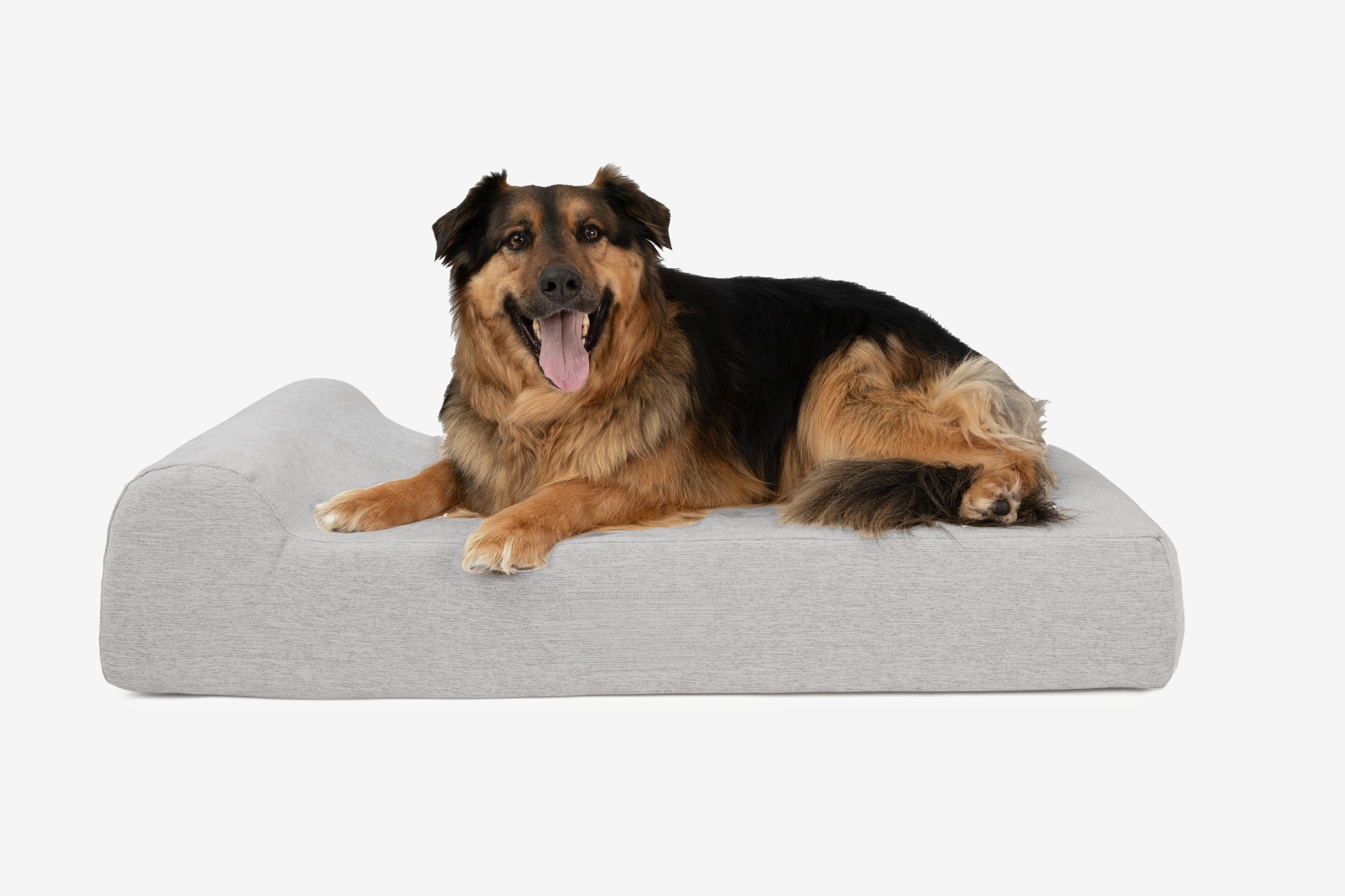 Original Orthopedic Dog Bed