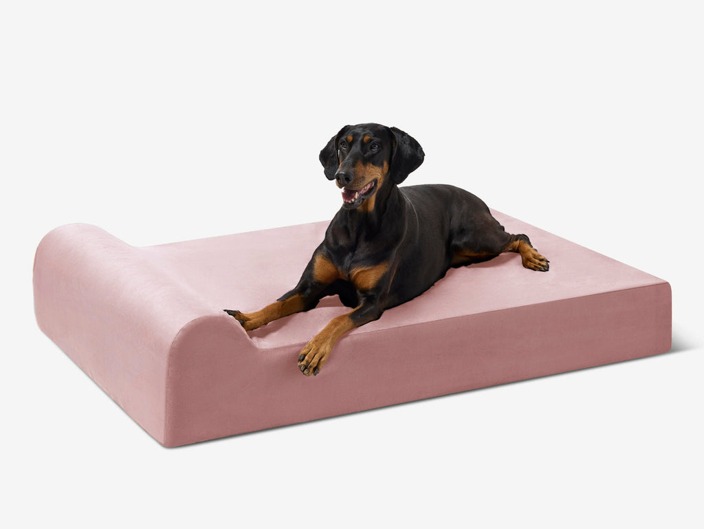 Cover | Original Bed — Limited Edition Colors