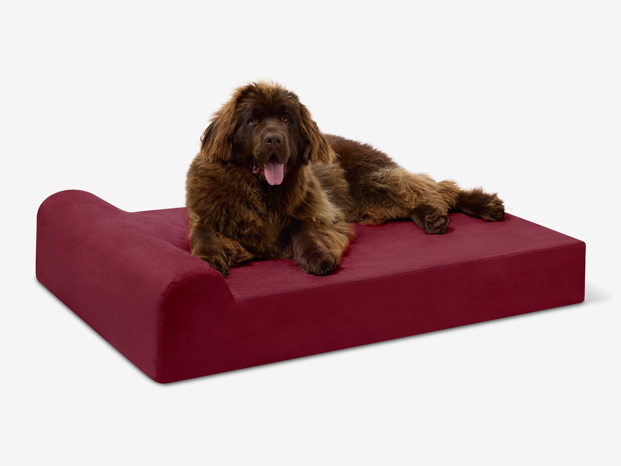 Original Orthopedic Dog Bed