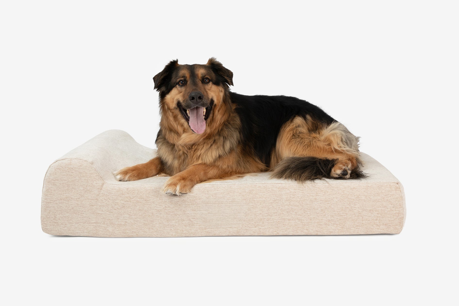 Junior Orthopedic Dog Bed