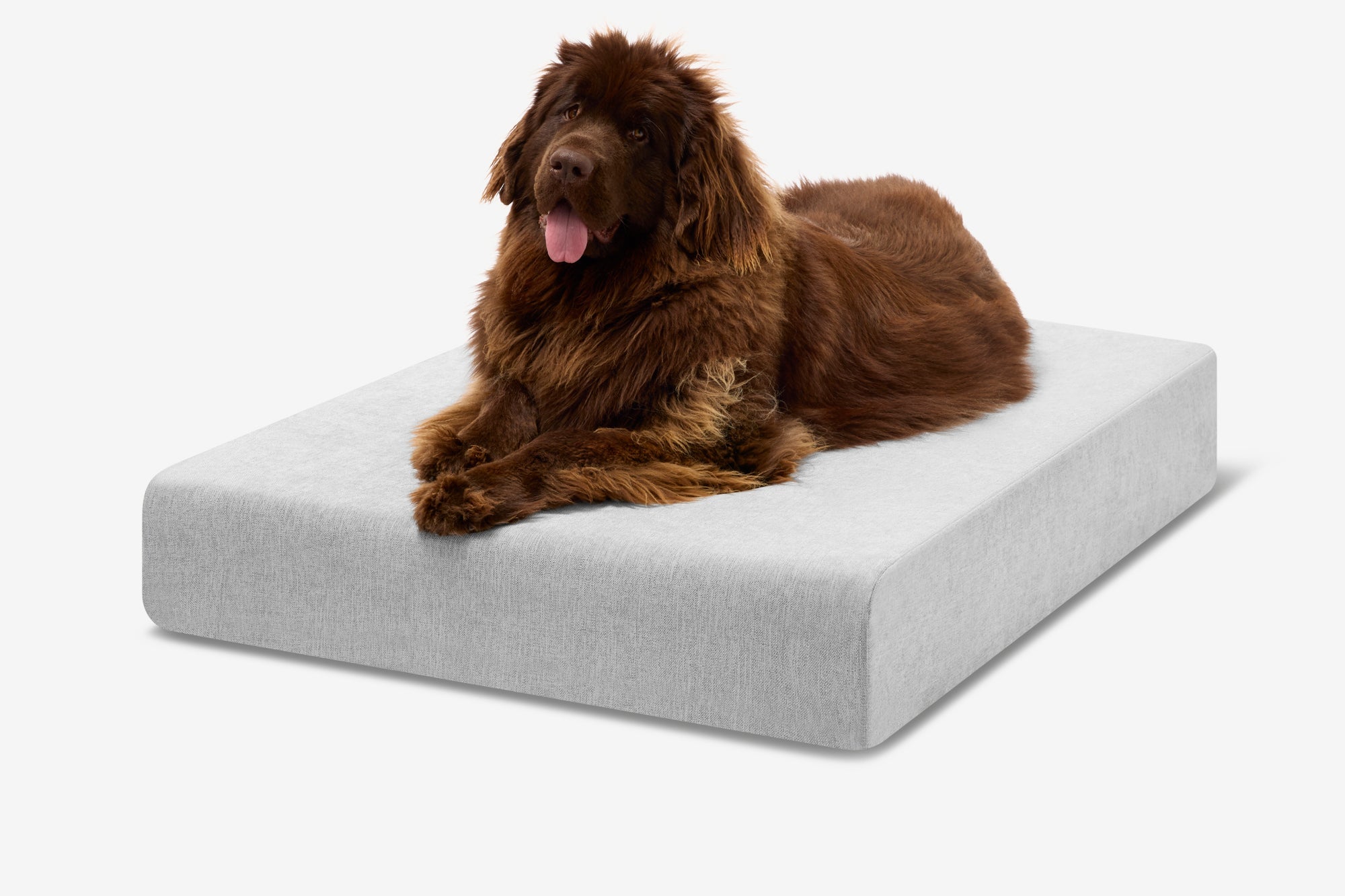 Original Orthopedic Dog Bed