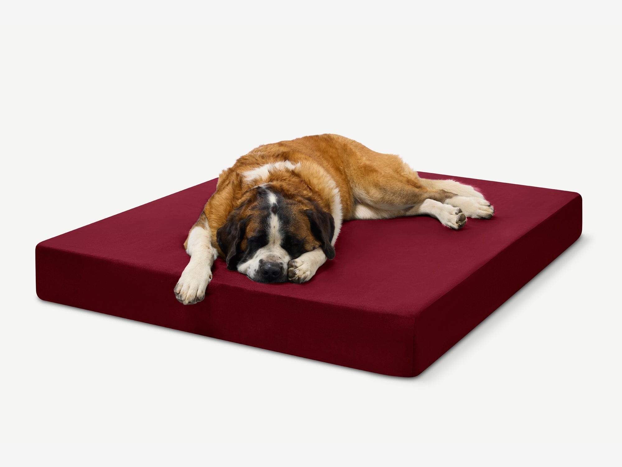 Original Orthopedic Dog Bed