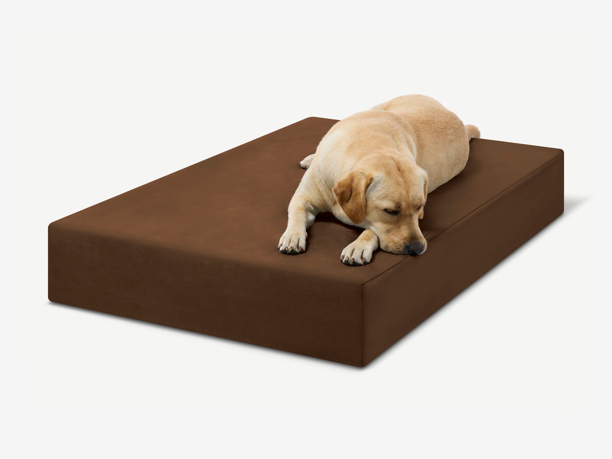 Original Orthopedic Dog Bed
