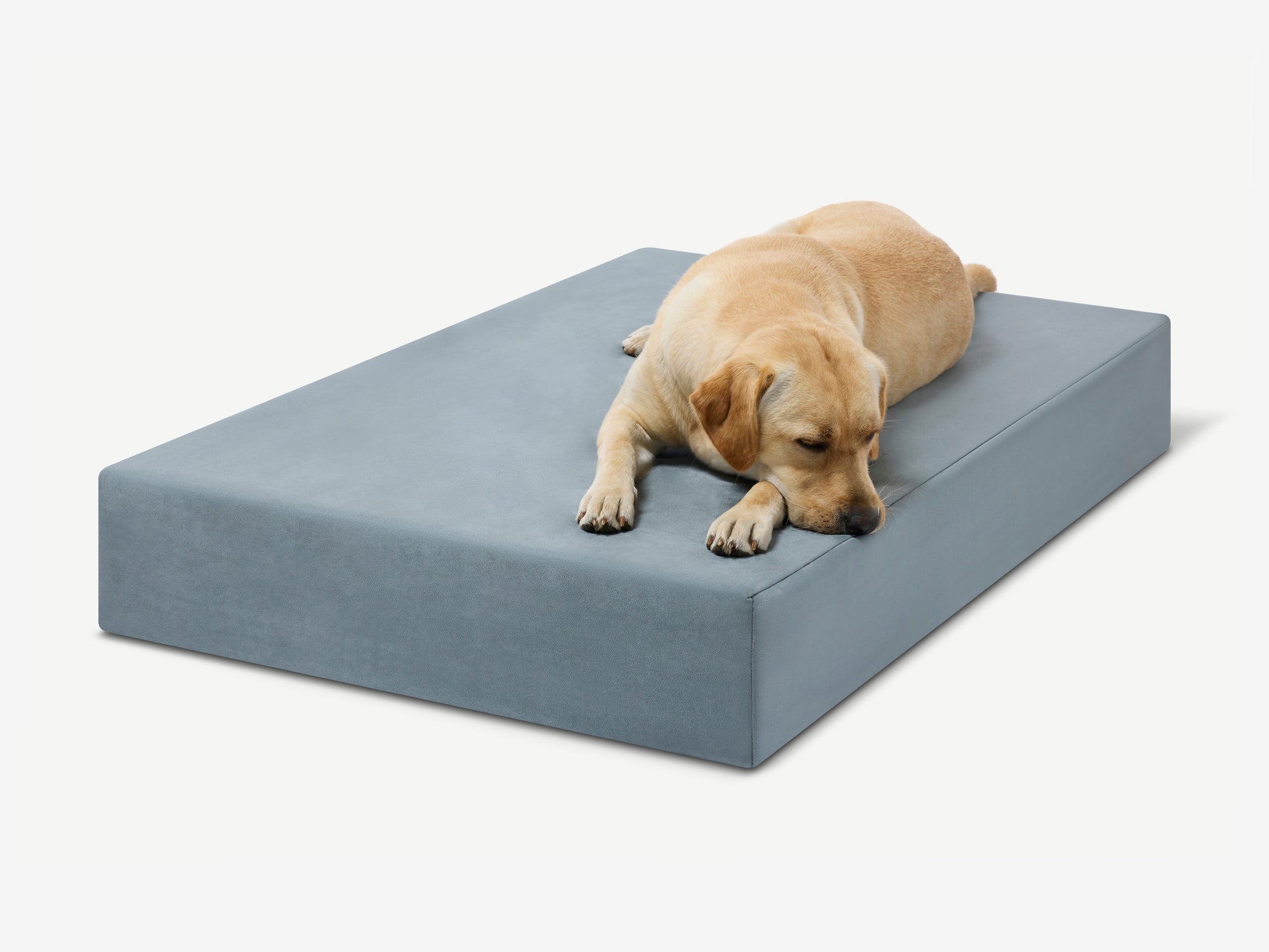 Original Orthopedic Dog Bed