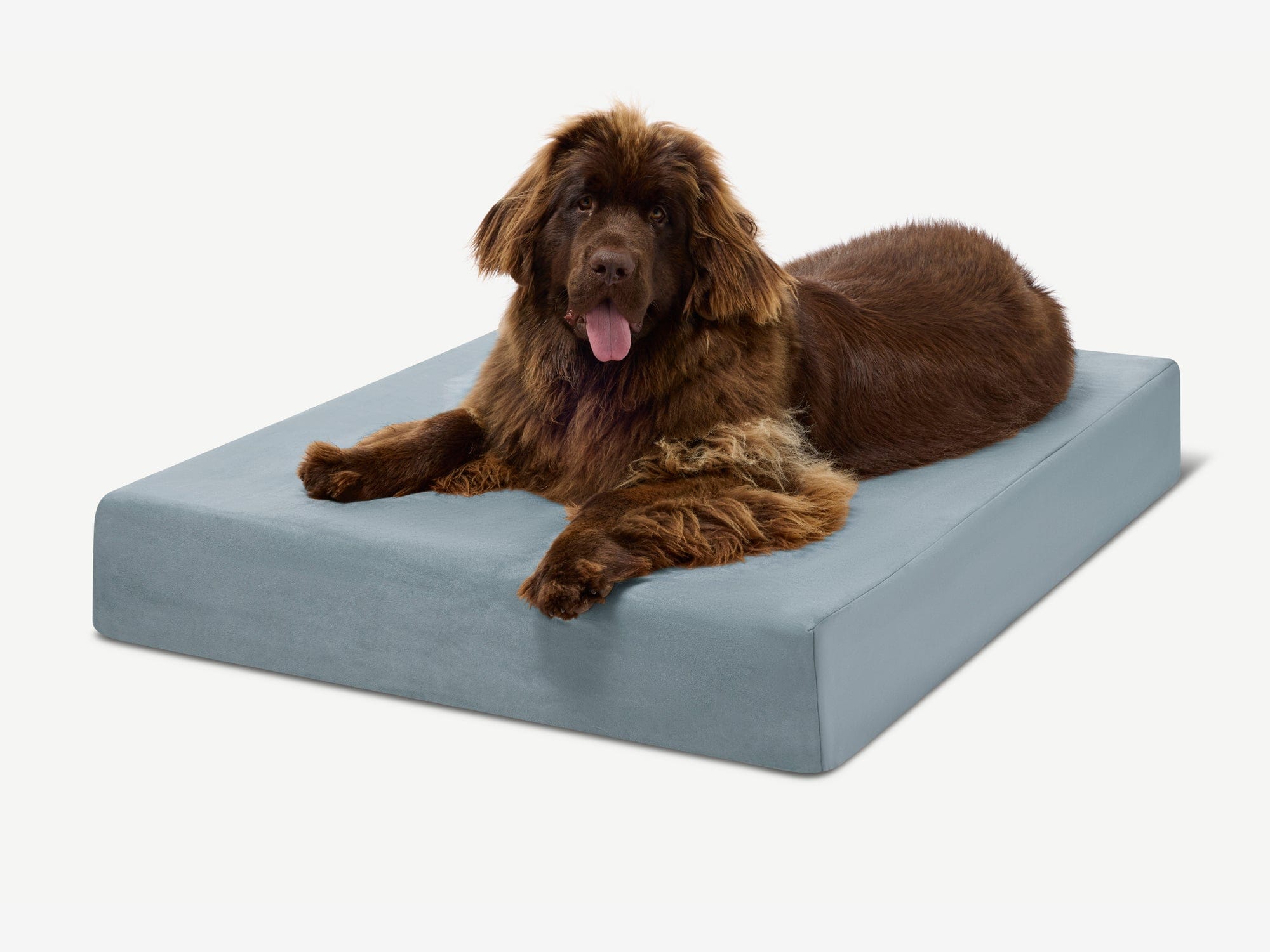 Original Orthopedic Dog Bed