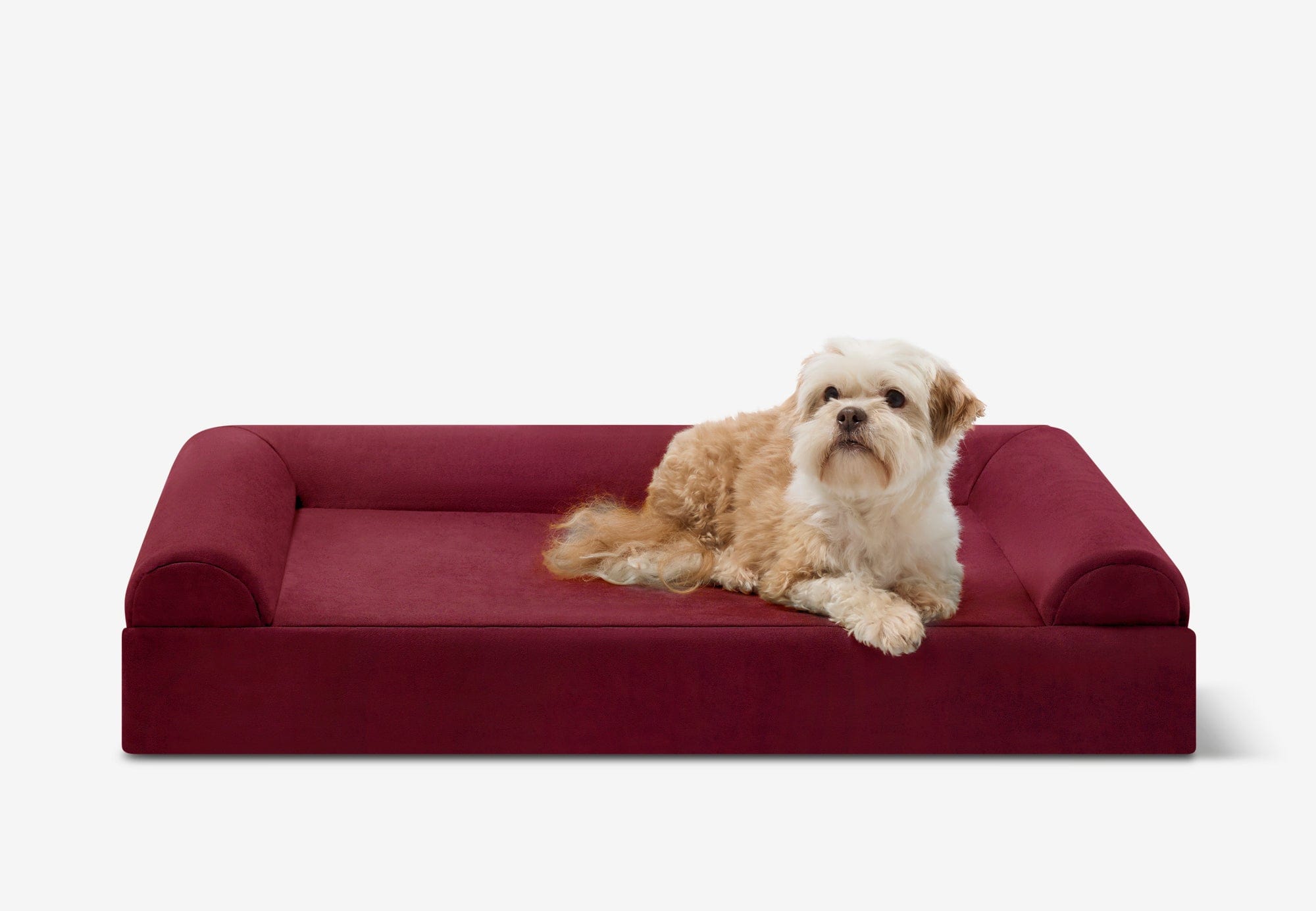 Junior Orthopedic Dog Bed