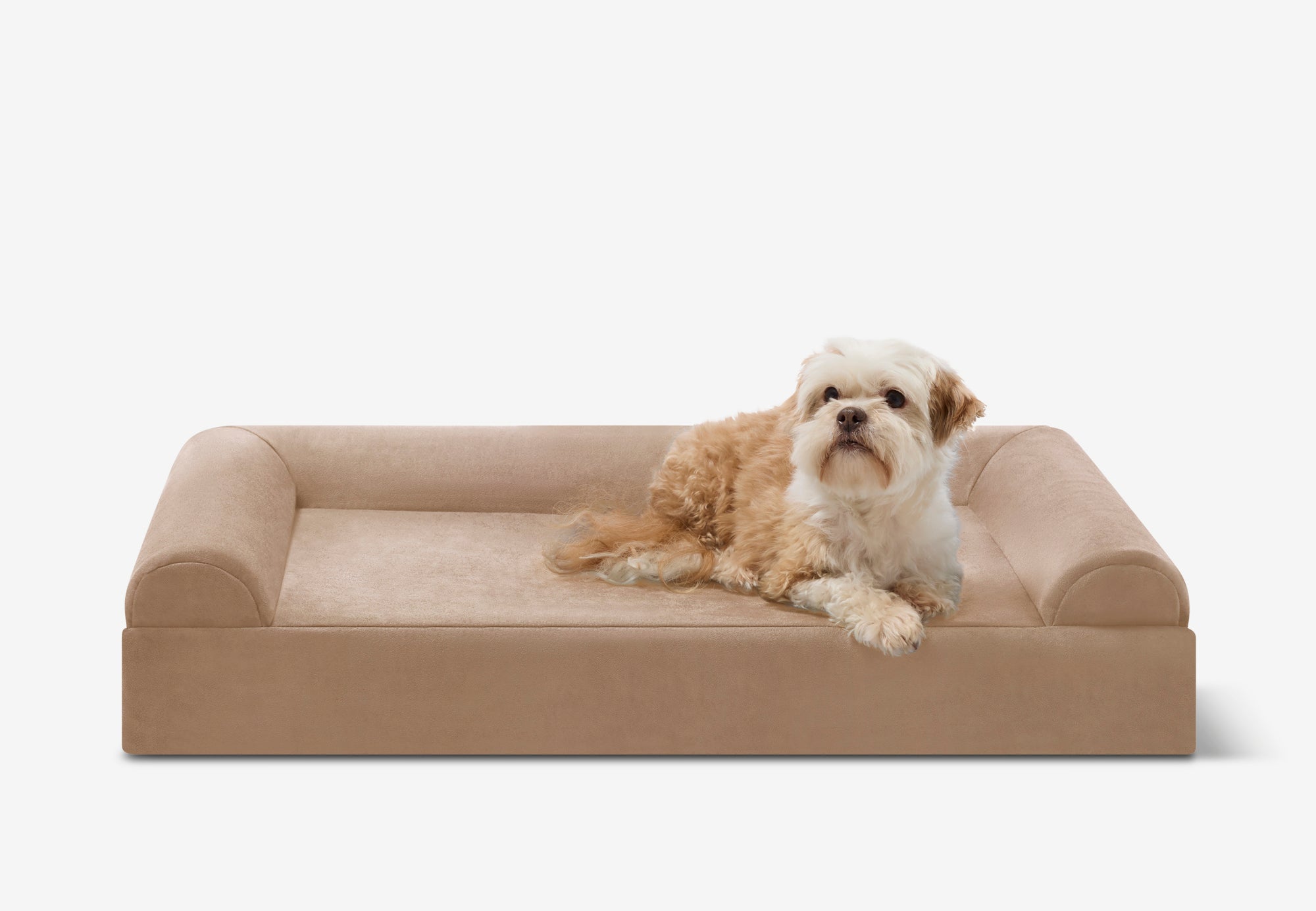 Junior Orthopedic Dog Bed
