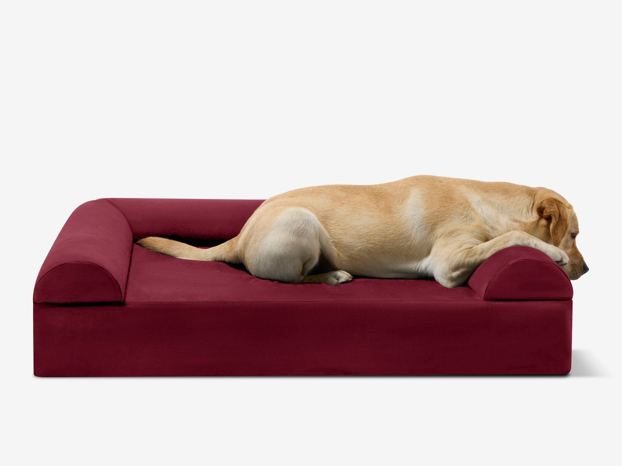 Original Orthopedic Dog Bed