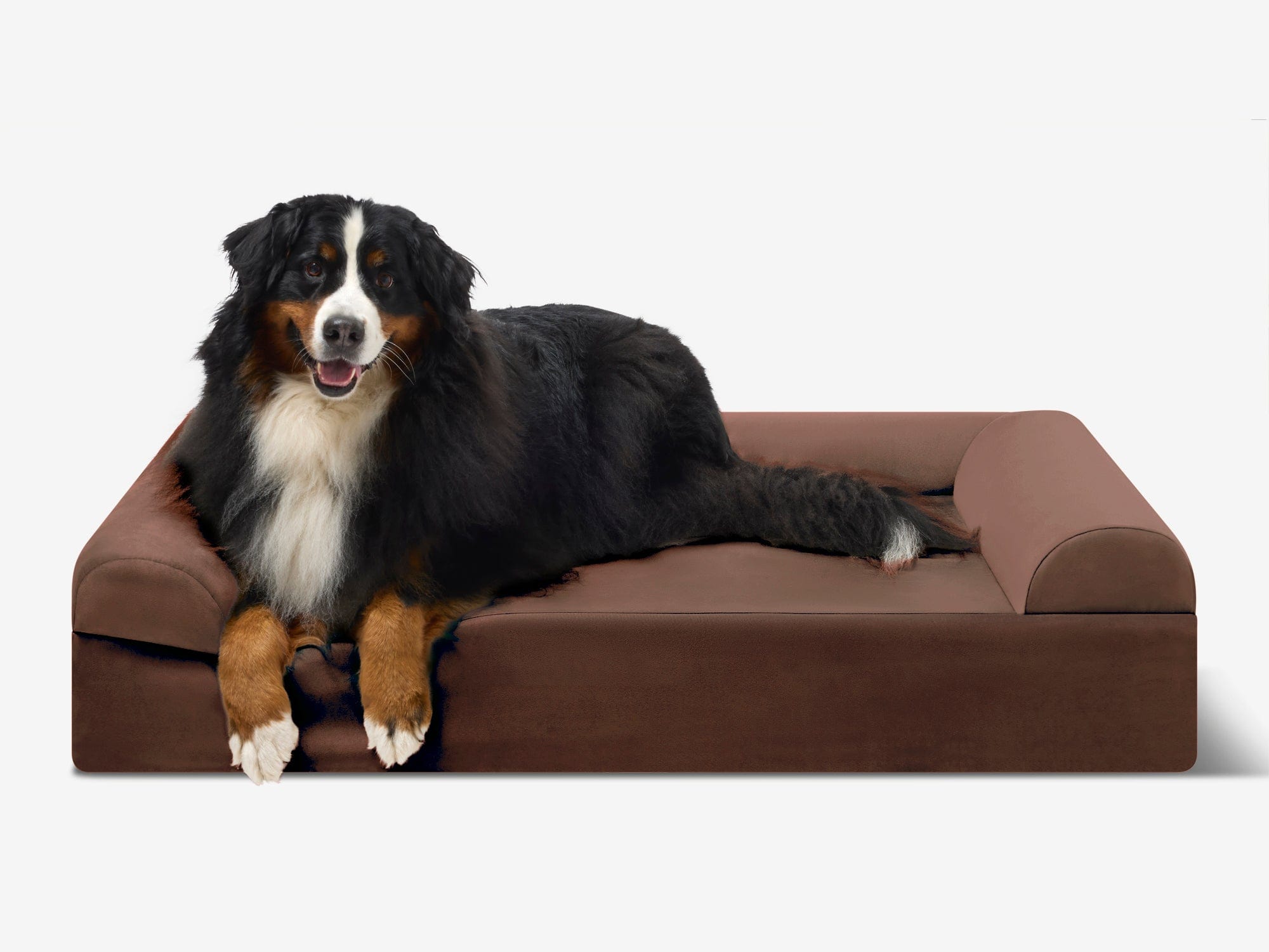 Original Orthopedic Dog Bed