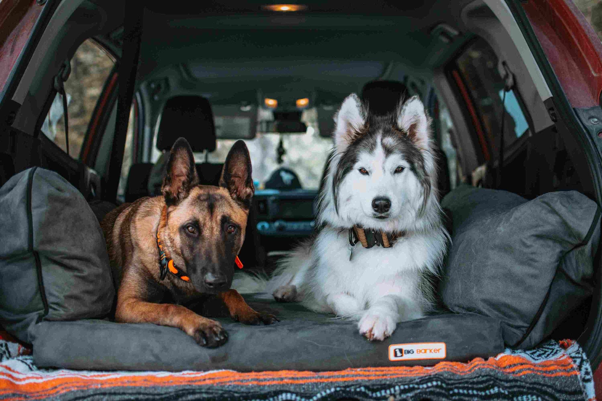 Easy Rider SUV Dog Bed
